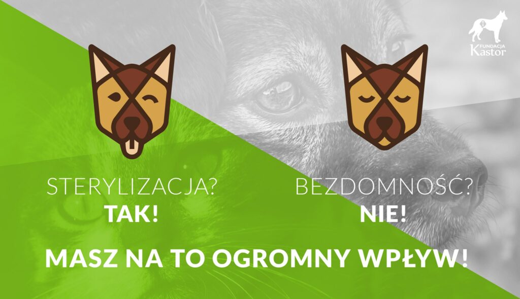 baner kastracja działalność